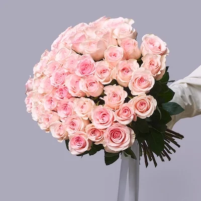 order stunnig 51 pink roses in istanbul